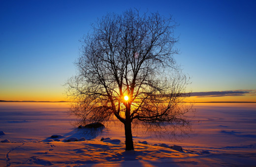 781833 (a): :3000x1959